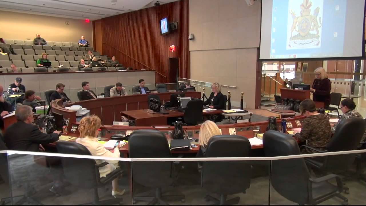 Hamilton City Council Budget 2015: Public Delegations