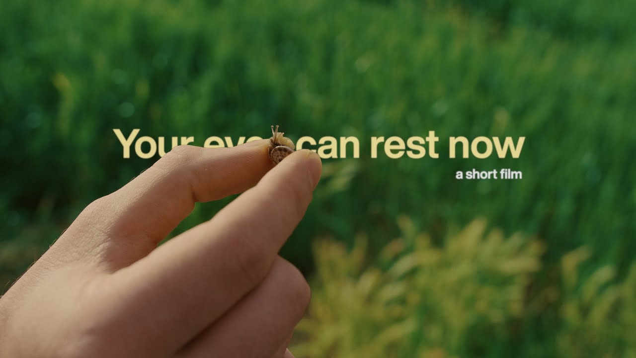 Your eyes can rest now