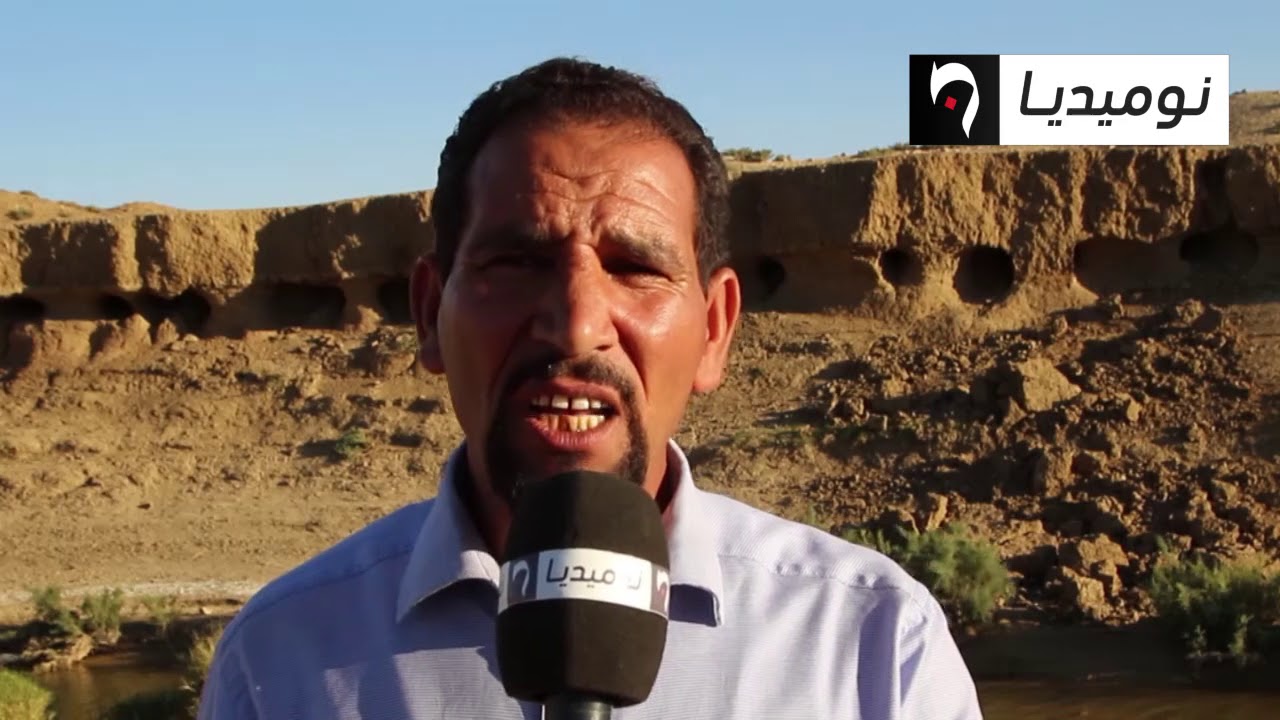 المدية: بعوضة غريبة تثير الرعب بين سكان الشهبونية