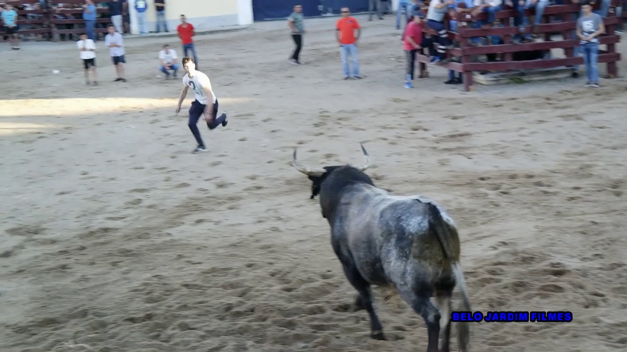 DIA A DIA SEMANA TAURINA DIA 3 DE MAIO SAMORA CORREIA 2016