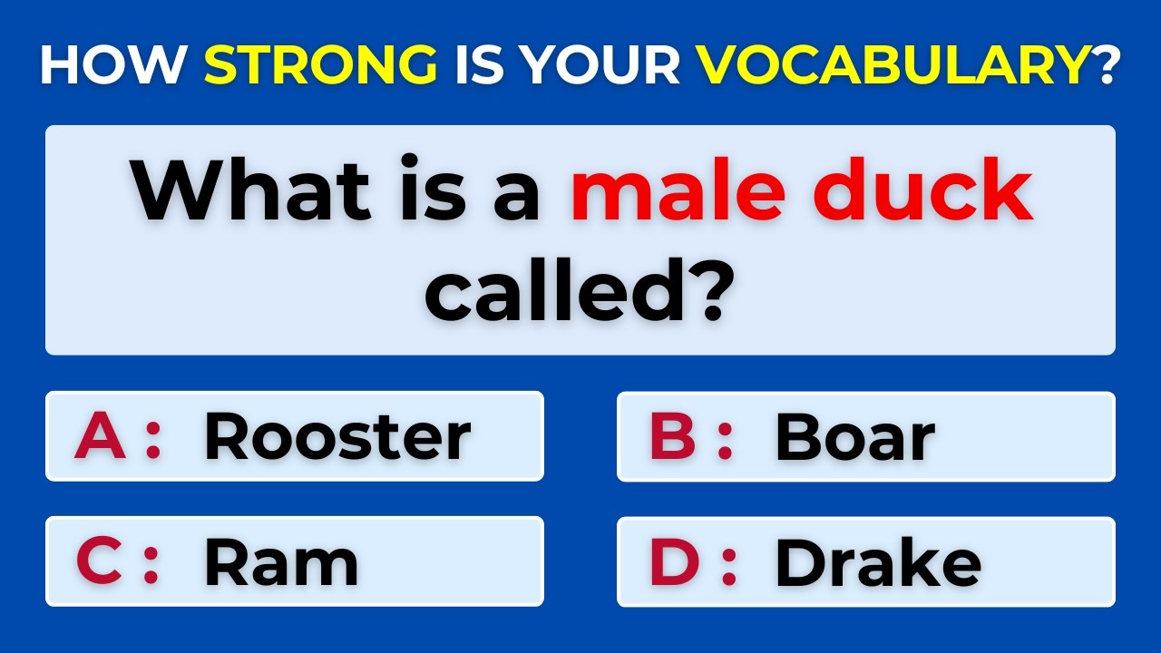 How Strong Is Your Vocabulary? Can You Score 30/30? Find the Correct Term. #Challenge 73