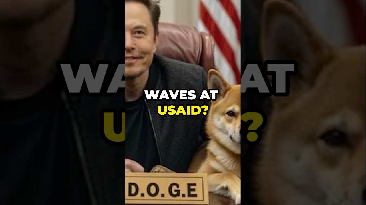 Court Clears Elon Musk's DOGE to Operate at USAID