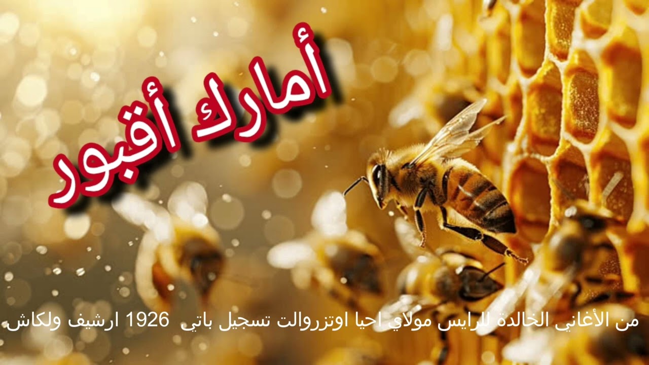 من اغاني الرايس مولاي احيا اوتزروالت تسجيل باتي1926 ارشيف ولكاش