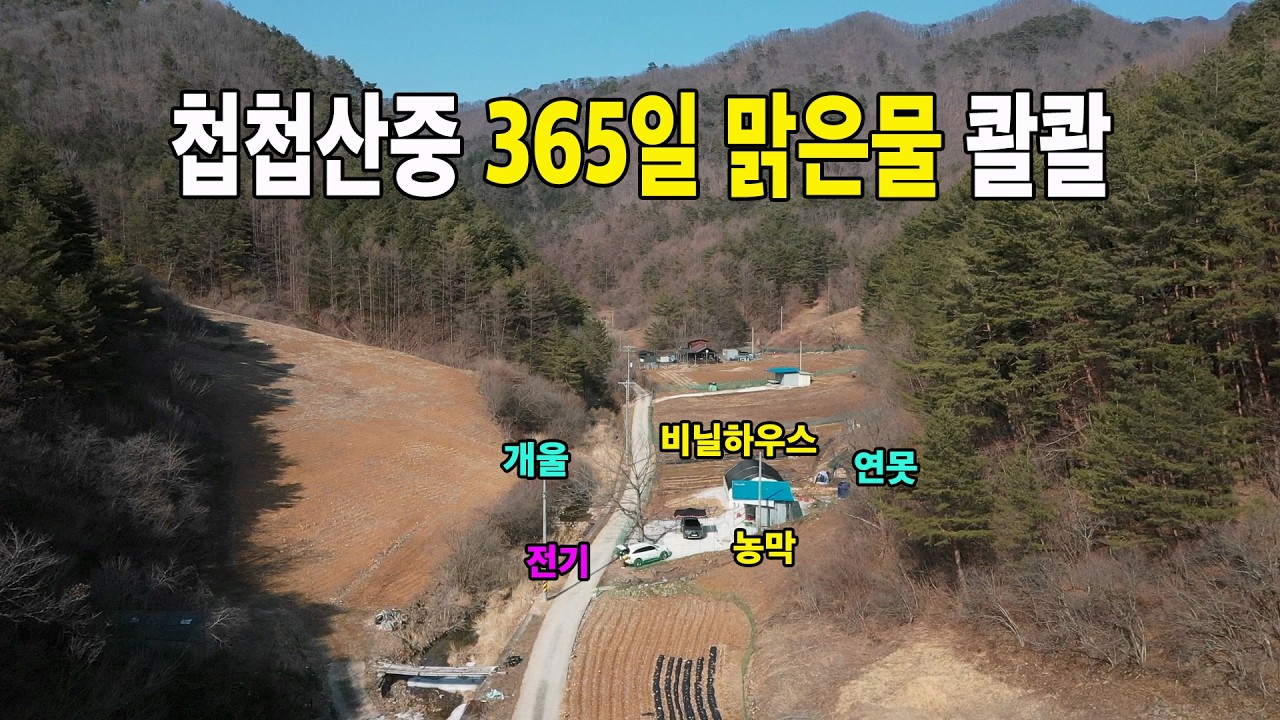 ★경북땅김소장★[매번993번] 첩첩산중 365일 맑은물 콸콸