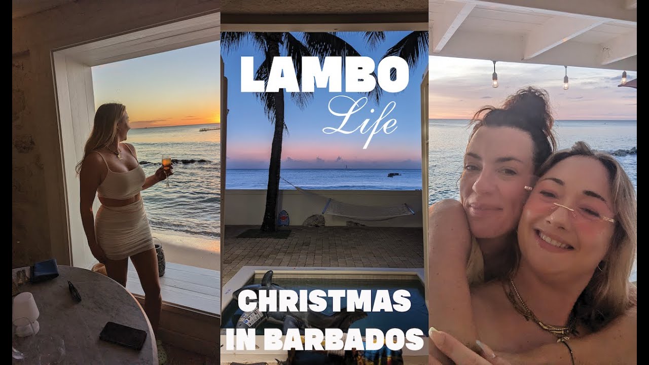 [VLOG] Bajan Christmas Bliss | Engagement, Monkey Adventures & Island Paradise! ️