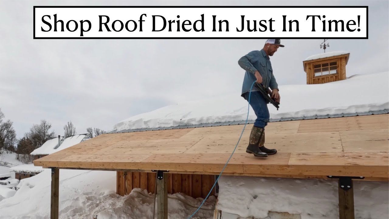 #552 - Shop Roof Extension Dried In...