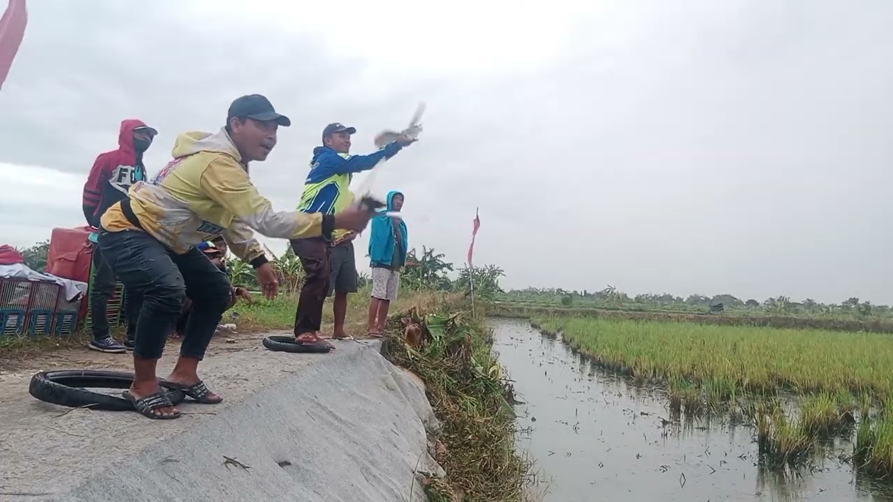 Lomba hari minggu lp. Sinan 1000 M. Juara baru BOLANG TEAM ngelatih 5 tahun baru kali ini juara 🤣🤣
