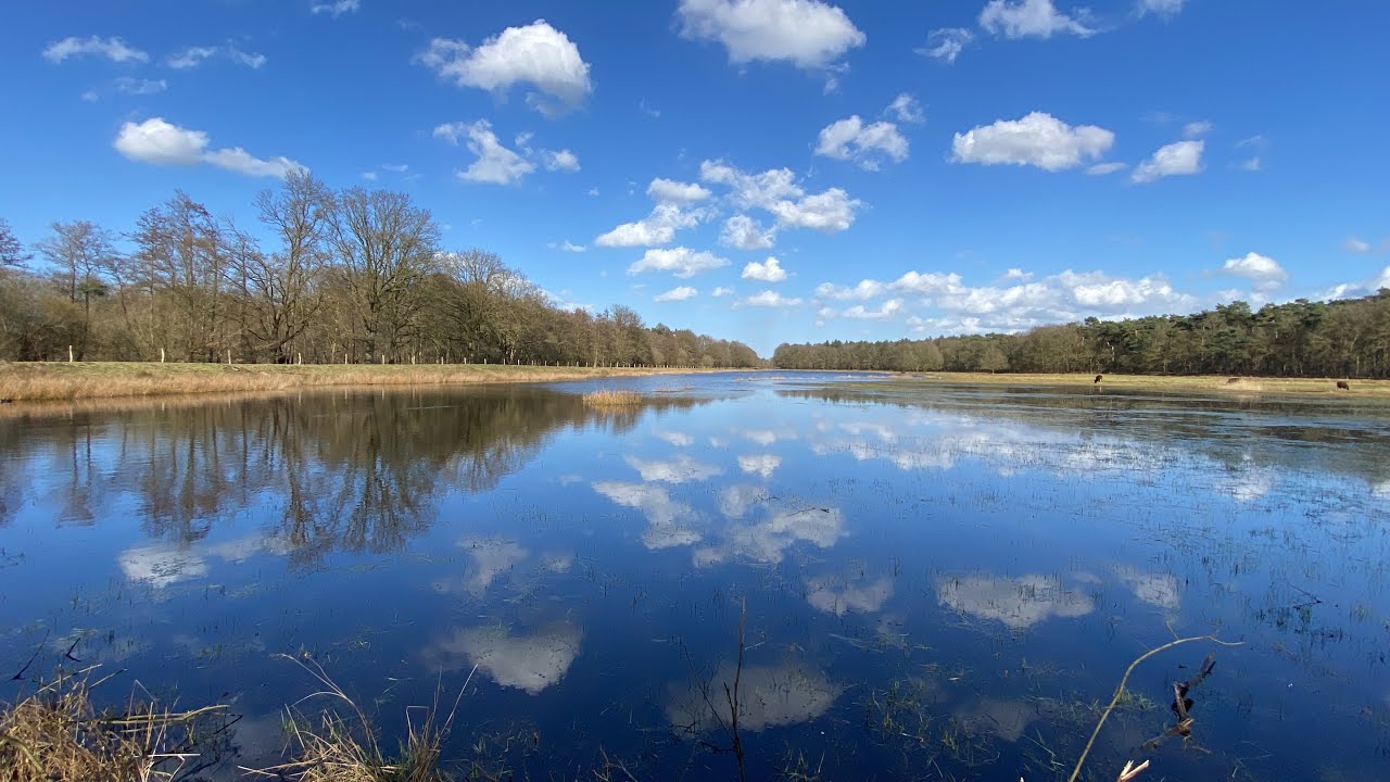 Rondje Natuurgebied Pannenhoef ☀️ (13-03-2023)