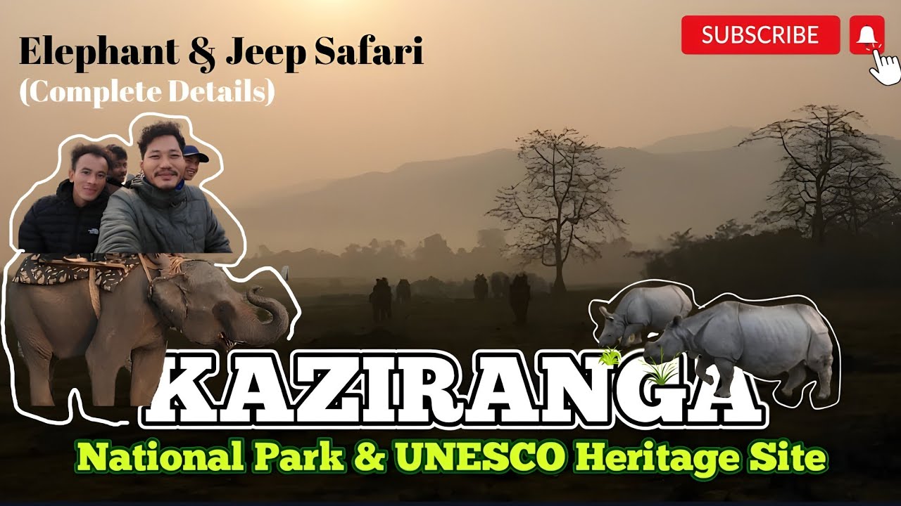Kaziranga Elephant Safari Experience | Cost? Timing? How to book?