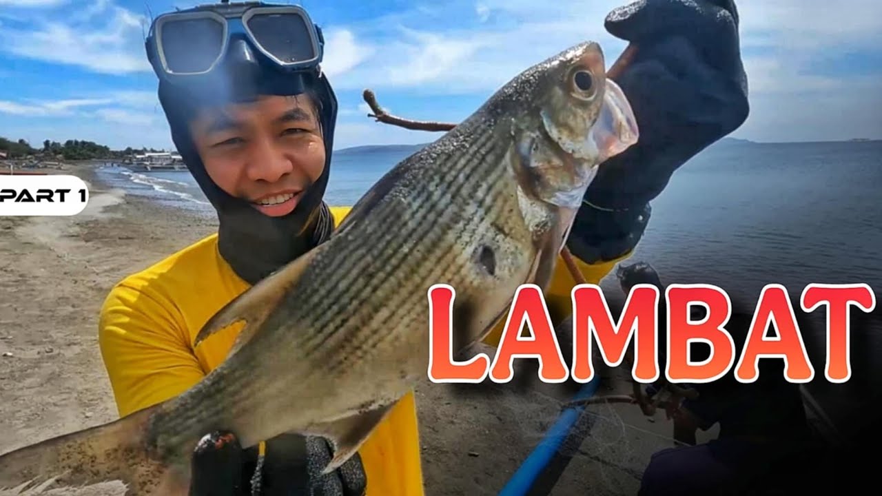 P1 - Nanlambat sa Dalampasigan - EP1725
