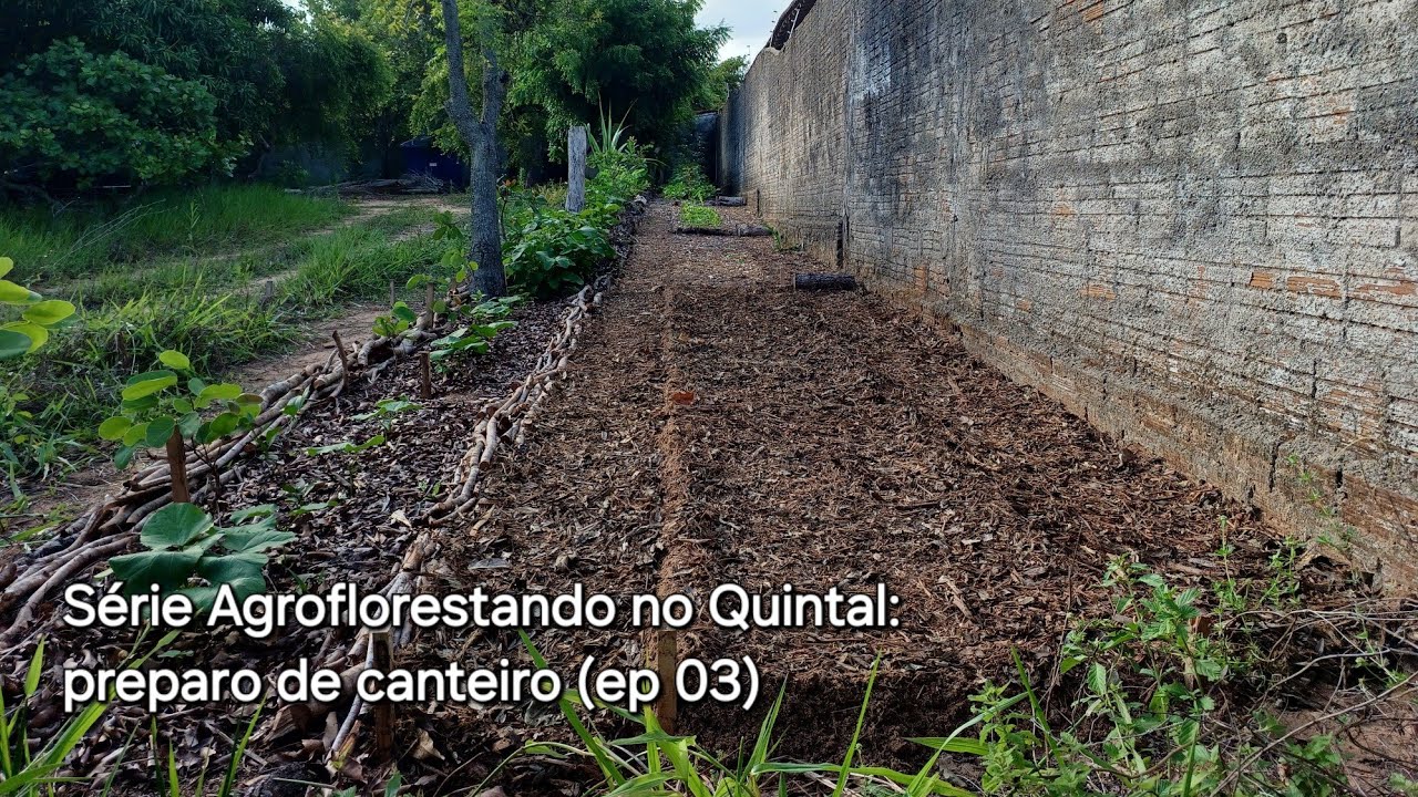 Série Agroflorestando no Quintal: preparo de canteiro (ep 03)