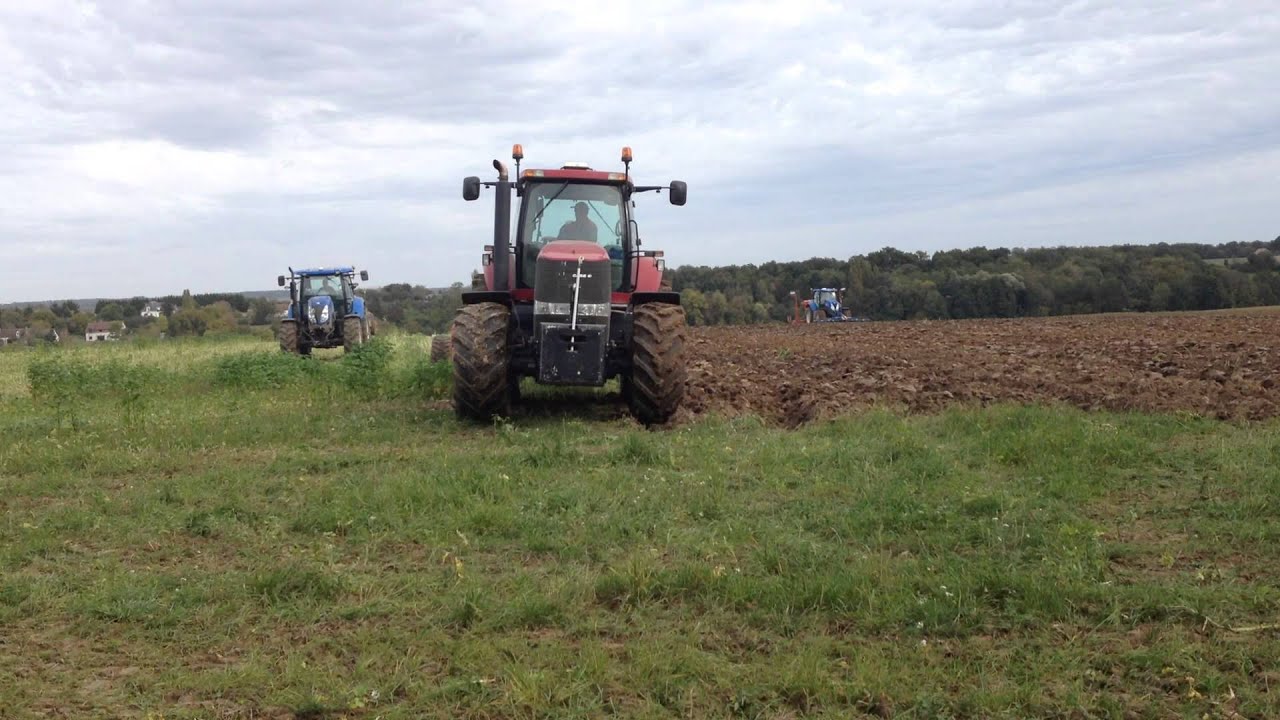 Labour Case Magnum 250