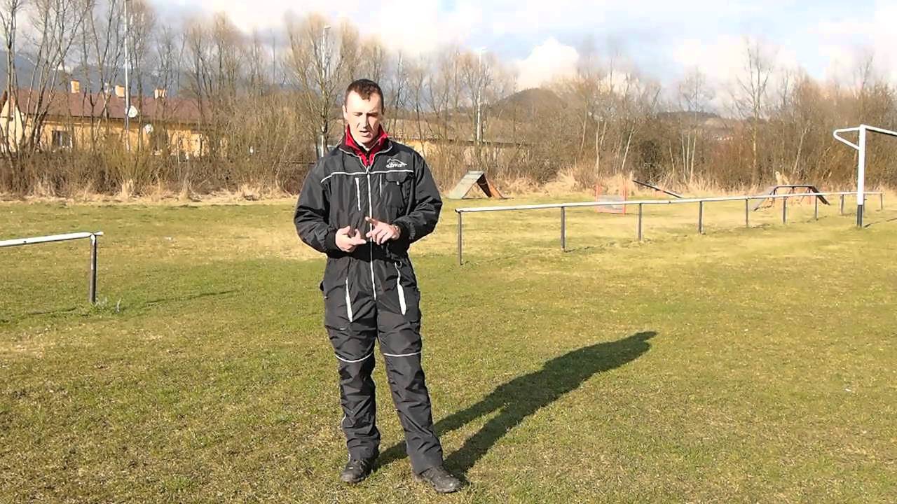 Príprava psovoda a psa na výcvik