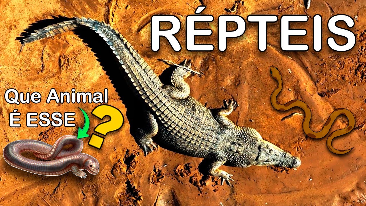 🐍A Revolução dos Répteis na Terra Firme: Como um ÚNICO Ovo Mudou Tudo?