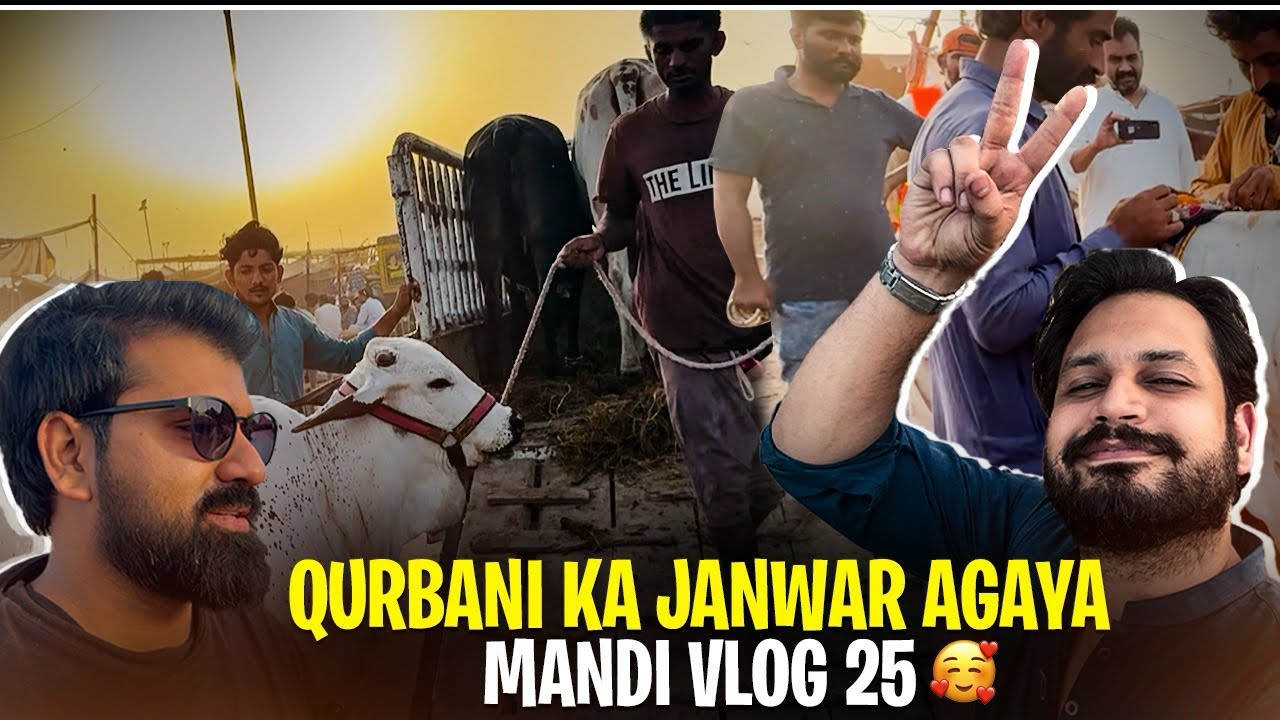 Qurbani ka Janwar Agaya - Mandi Vlog 2025