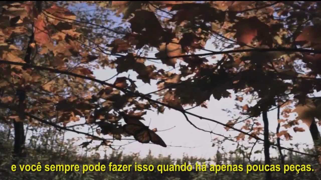 The Feynman Series (parte 3) - Curiosity (Curiosidade) em portugu&ecirc;s