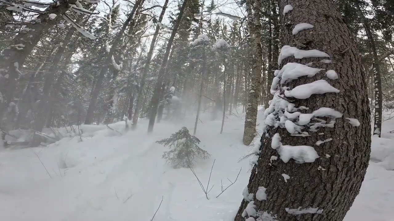 Ridicule comment la neige est bonne