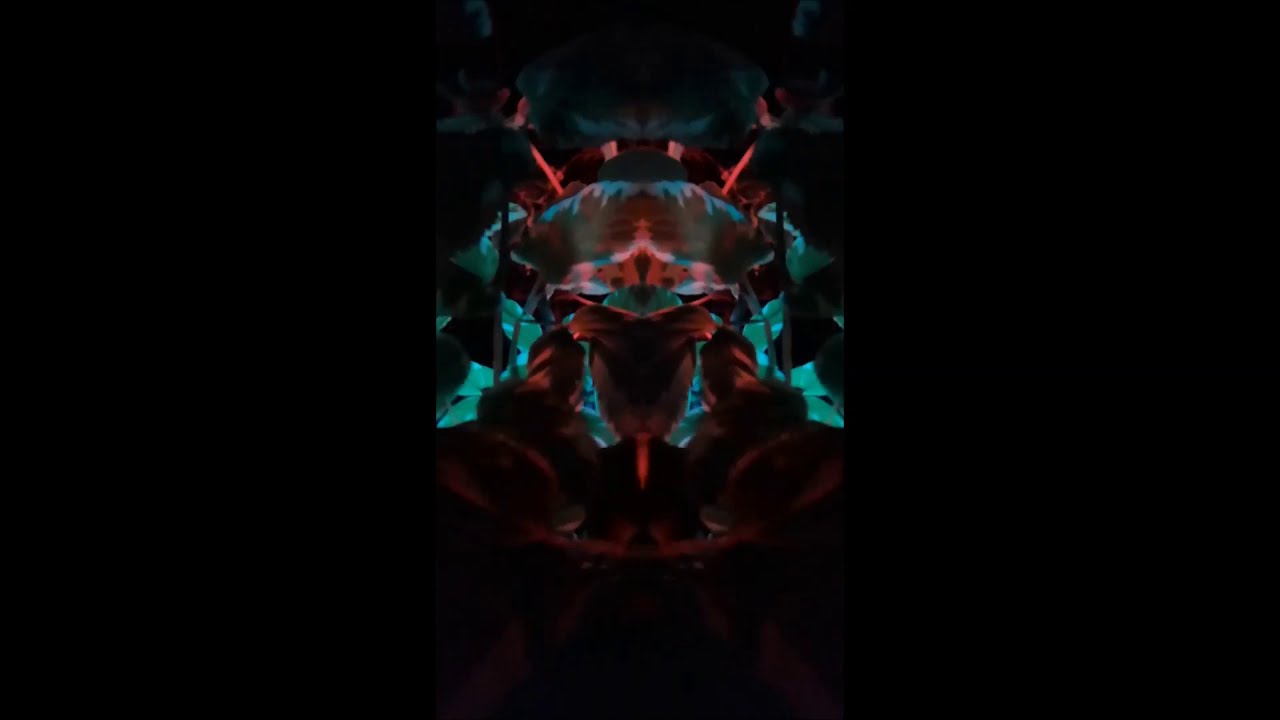 Isolated Ground Receptacle - Kill Them All
