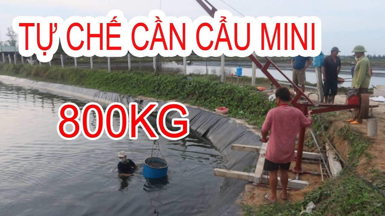 Thu Hoạch ốc Hương Và Đưa Cần Cẩu Mini Vào Sử Dụng - Thắng Nam