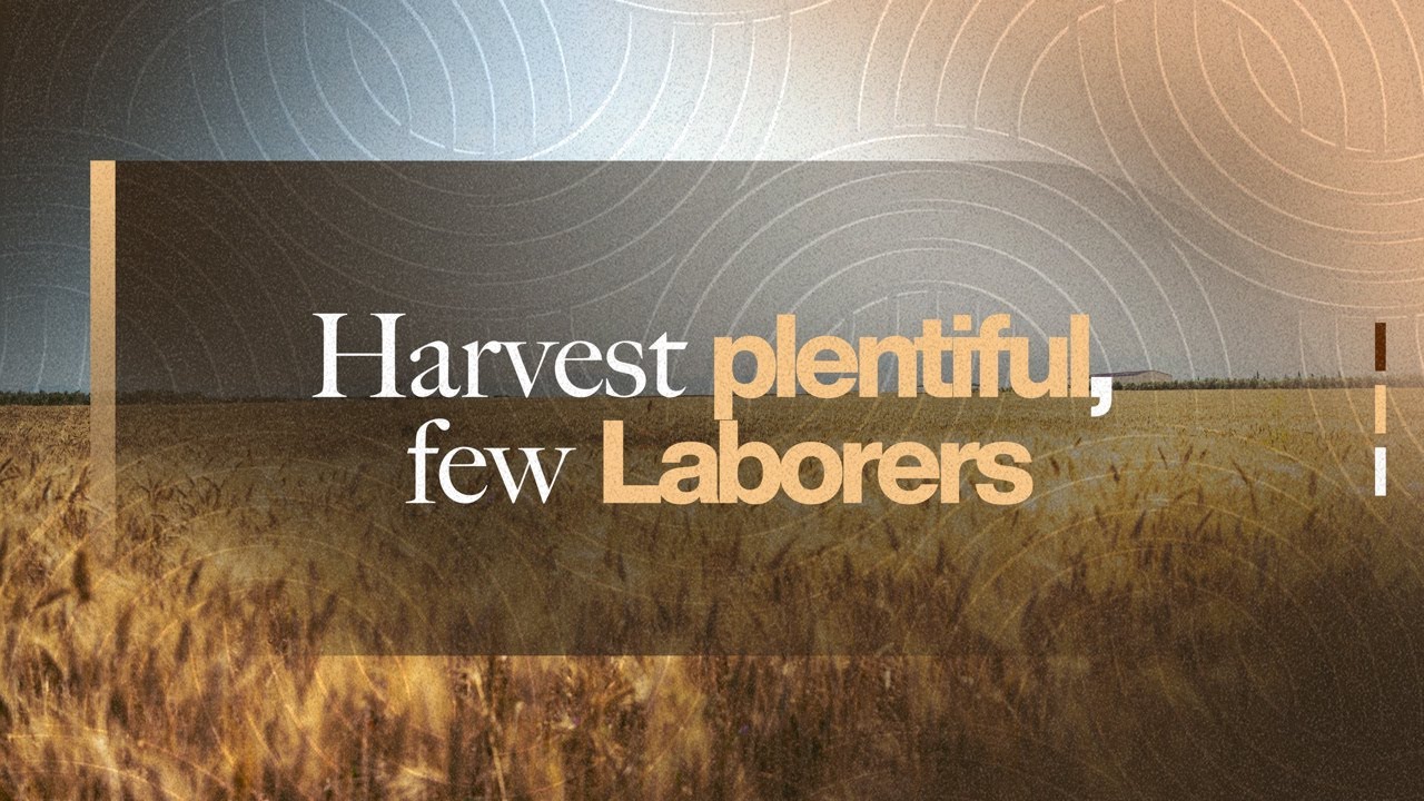 Harvest plentiful, few Laborers | English Service | Pastor Emmanuel GBEREKPEE | 15.2.2026