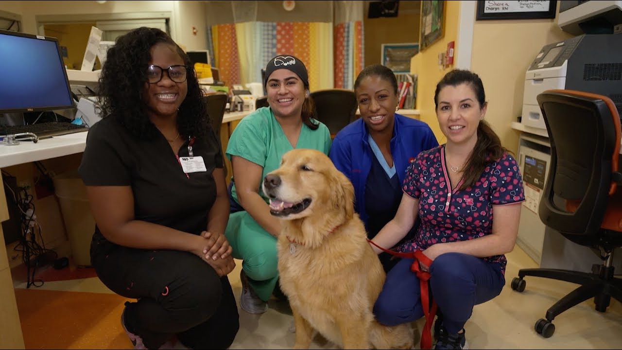 Joe DiMaggio Children's Hospital Career Opportunities