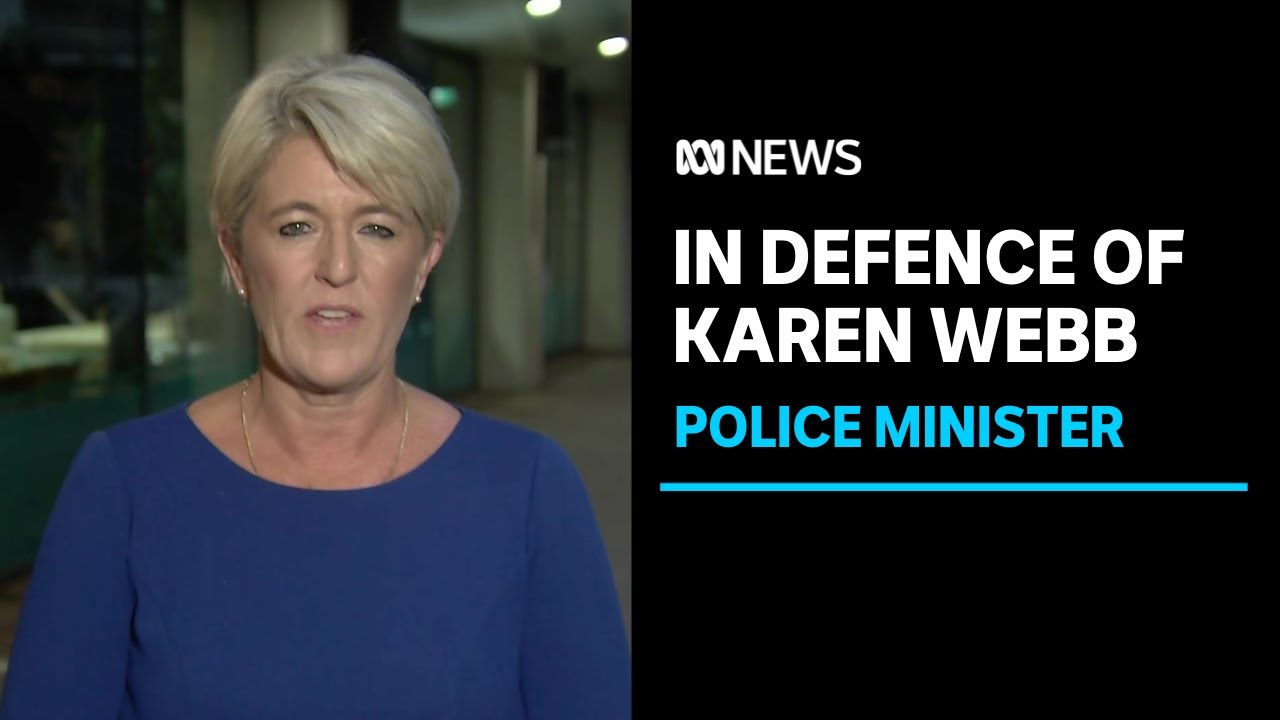 NSW police minister defends Commissioner Karen Webb over comment about alleged killer | ABC News