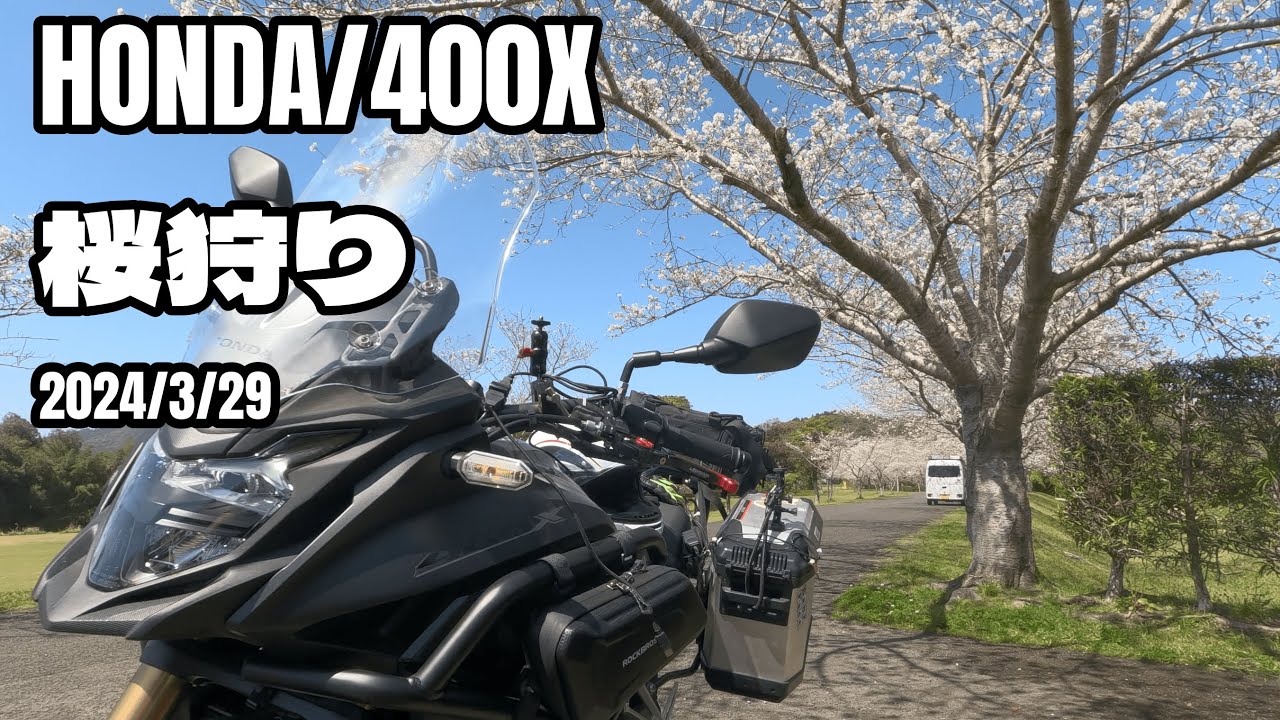 【HONDA/400X】桜狩り2024