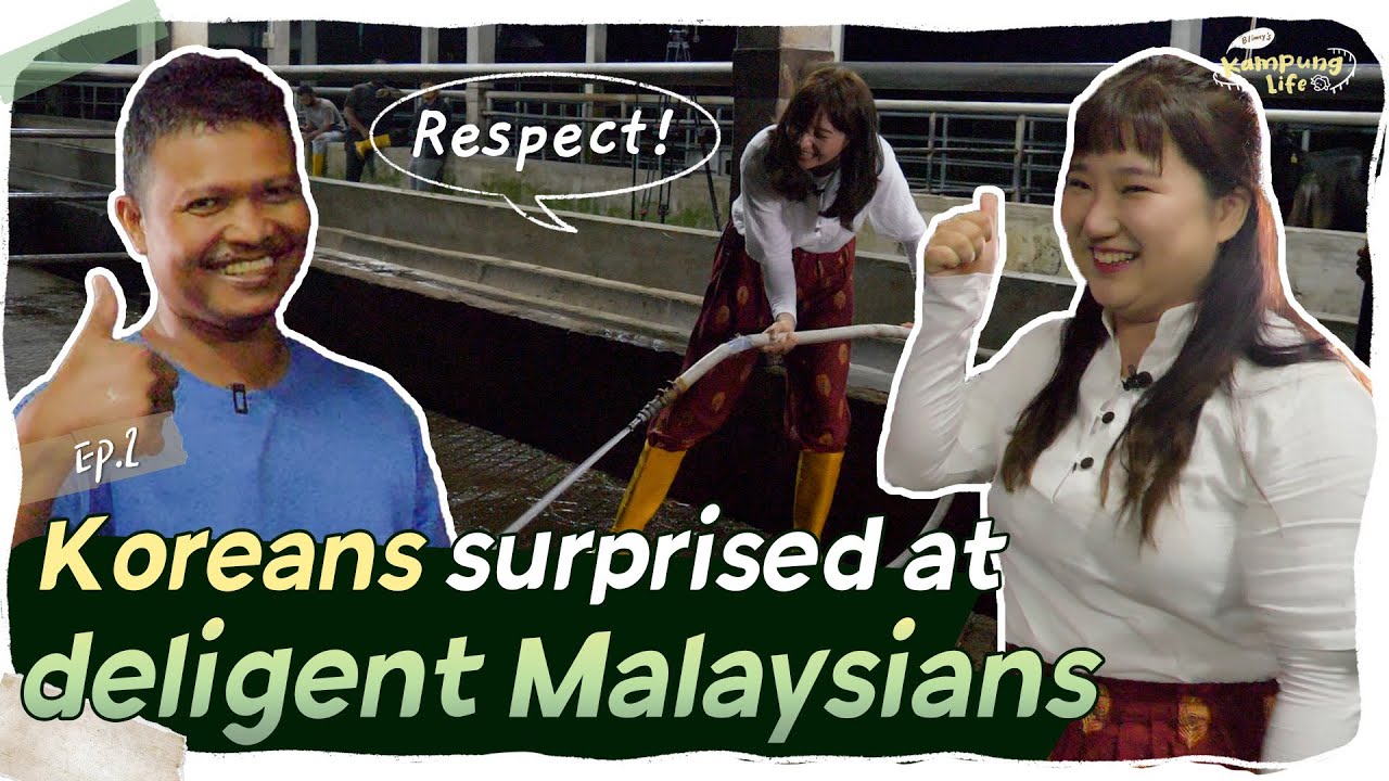 EP2🐮 Do kampung people wake up this early?!│Blimey's Kampung Life