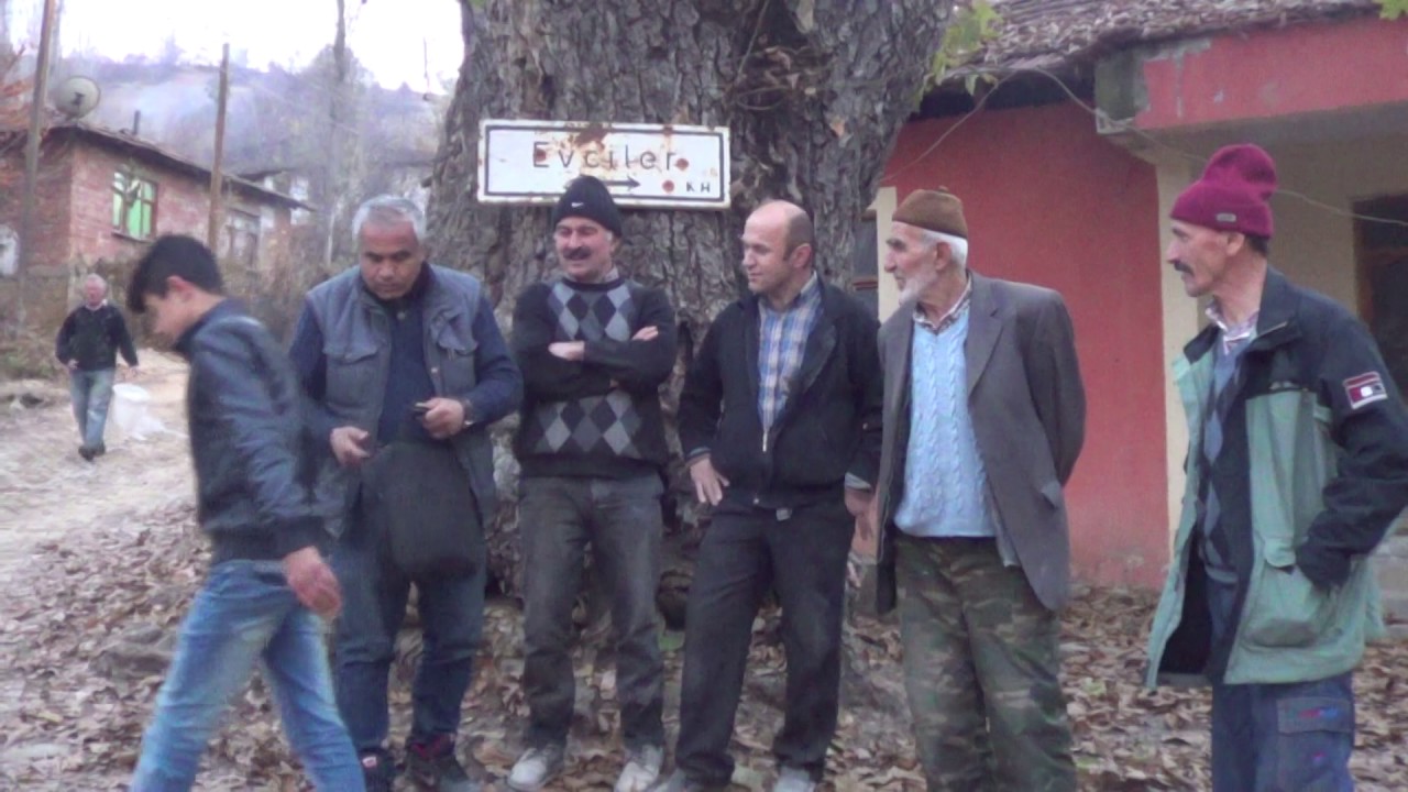TÜRKİYE'NİN EN BÜYÜK CEVİZ AĞACI TOKAT ERBAA EVCİLER KÖYÜNDE