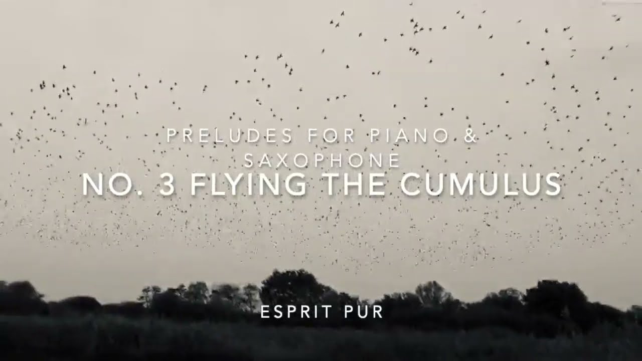Esprit Pur