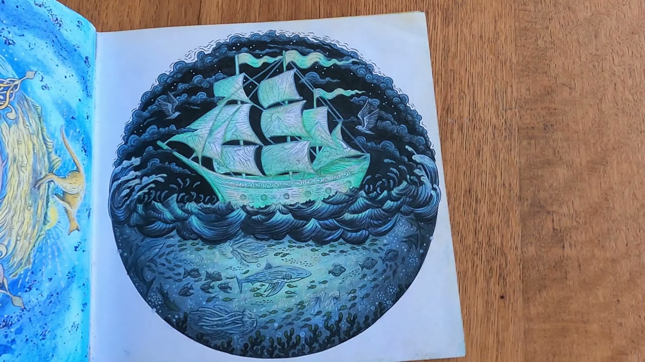 Flip through Circle of Life colouring book half completed!