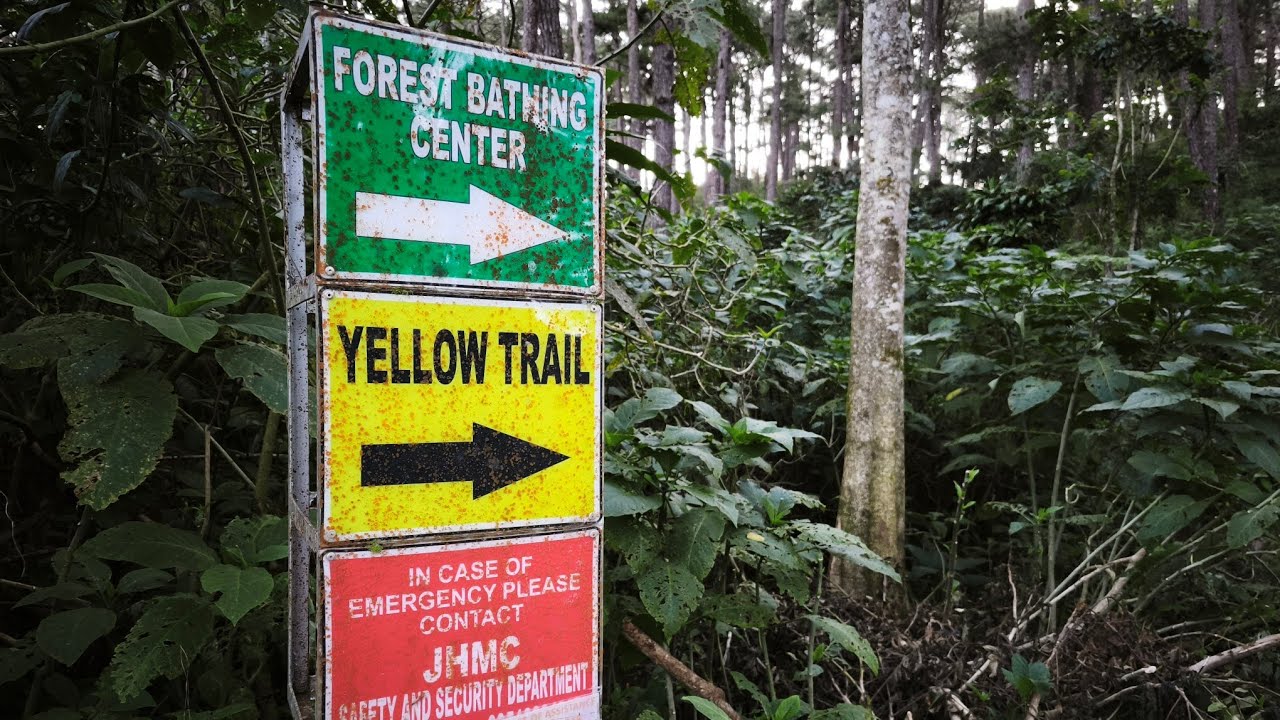 Camp John Hay Yellow Trail