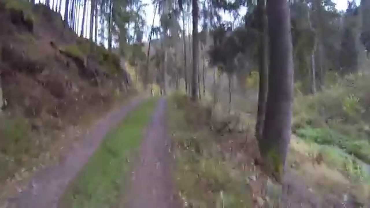 Crosslauf in Zwettl, 07.11.2014