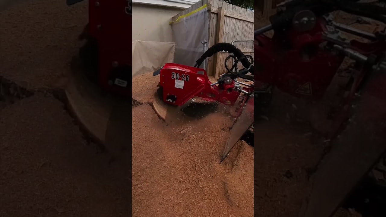 Nothing Left Sticking Out | Friendly Beaver Stump Grinding