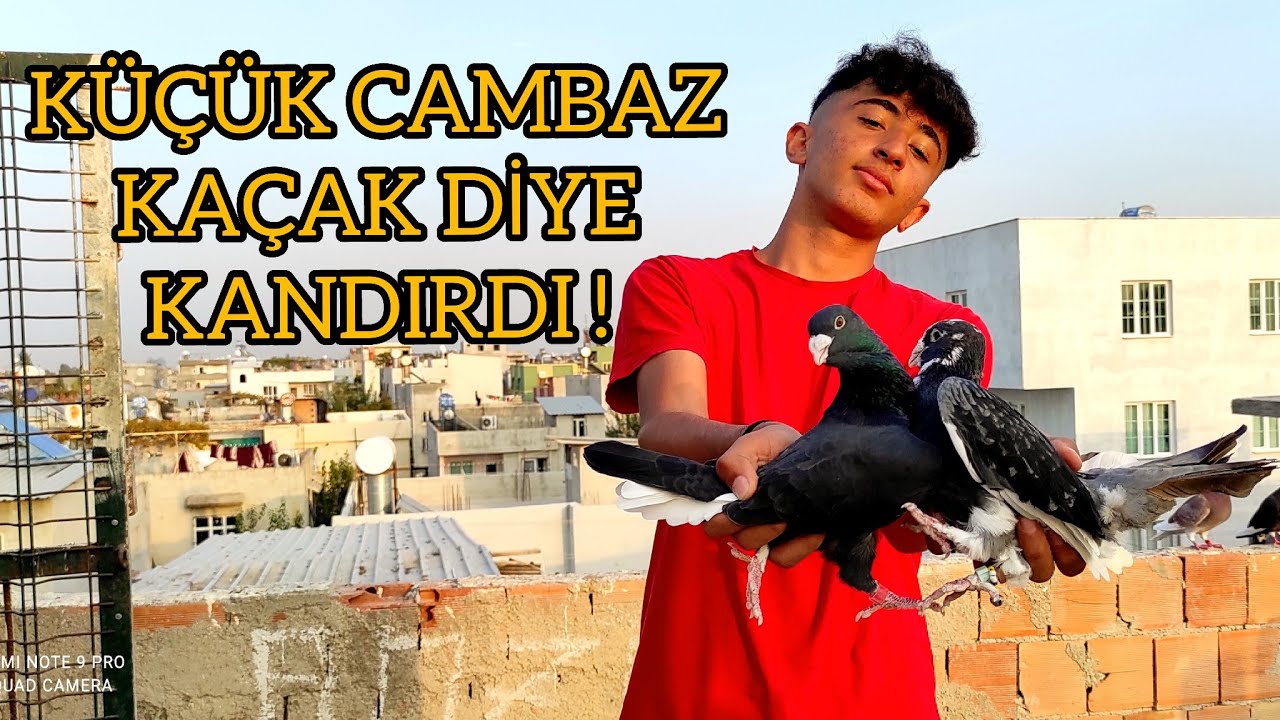 KÜÇÜK CAMBAZ KAÇAKCİ !