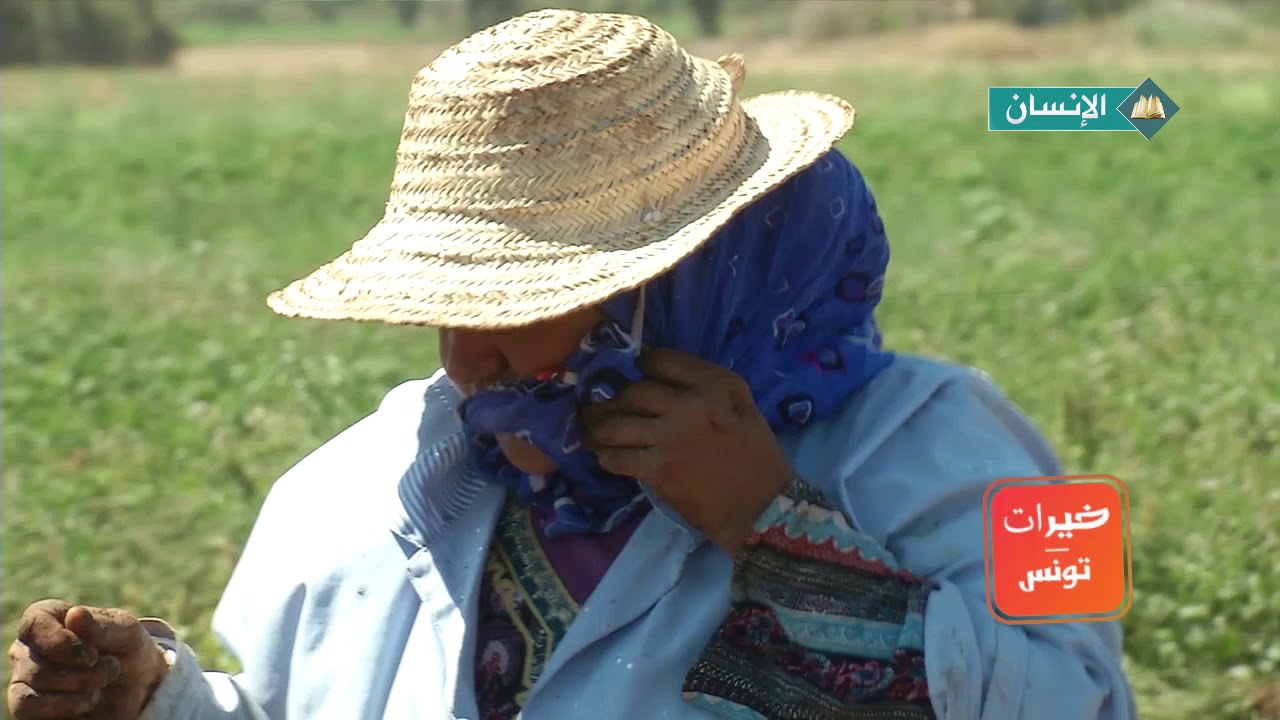 خيرات تونس - الحلقة 12 إنتاج الطماطم