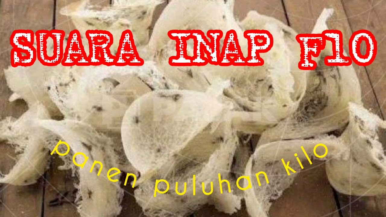 SUARA INAP F10