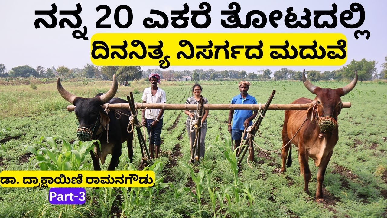 ಒಂದು ಪೈಸೆ ಕರ್ಚಿಲ್ಲದೆ ಗಂಡು ಹೆಣ್ಣಿನ ಮದುವೆ!part-3