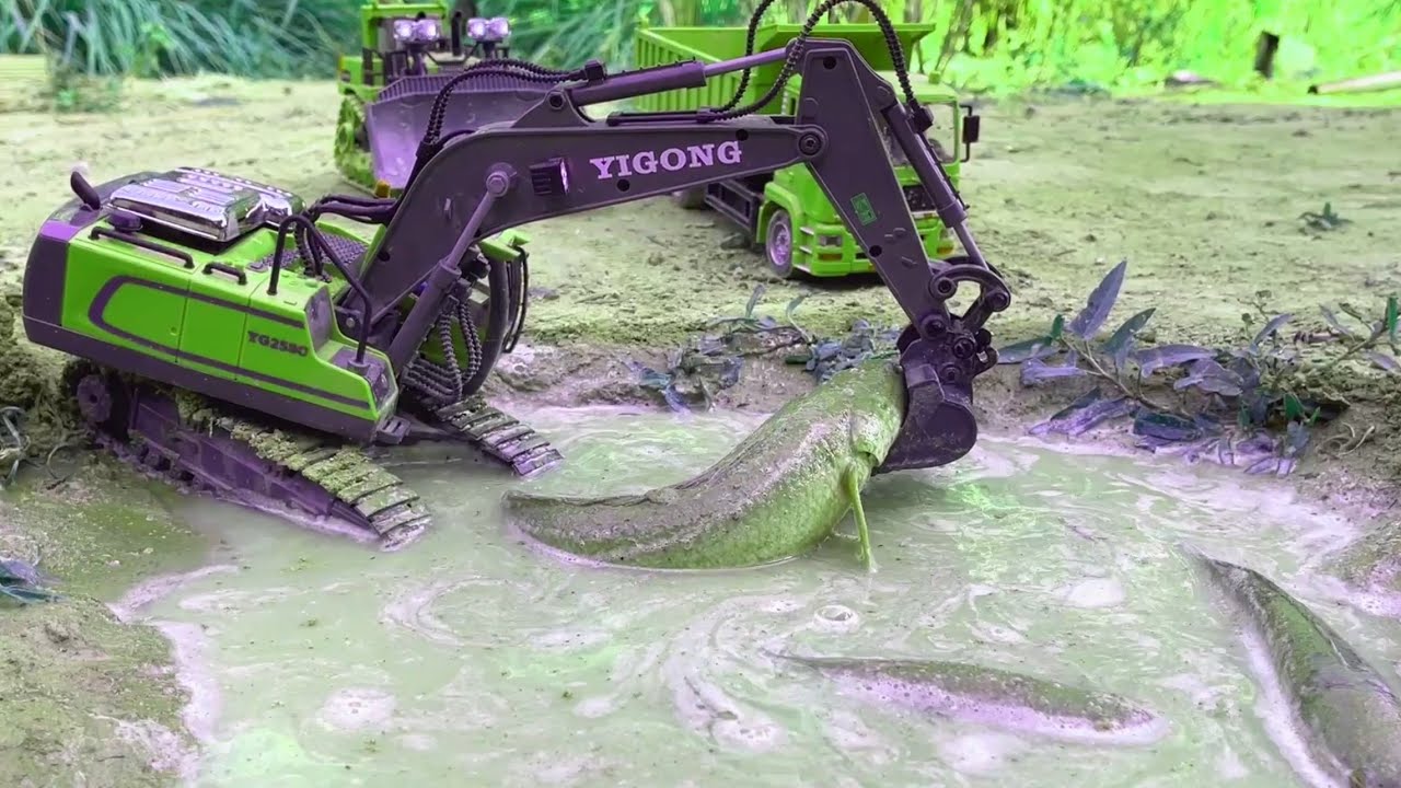 Finding fish using an excavator & Excavator