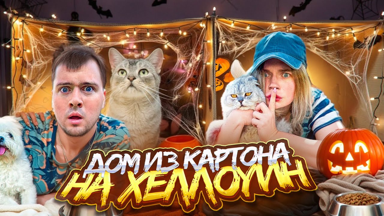 24 ЧАСА СТРОИМ КАРТОННЫЕ ДОМА ПИТОМЦАМ НА ХЭЛЛОУИН | КЕВИН vs БИЛЮШКА