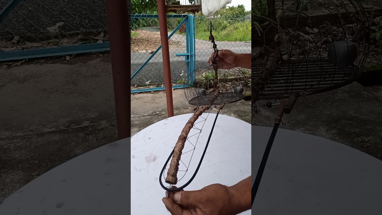 JEBAK 3D RANTING LIMAU PART 3 SIAP!!! #jebak #merbok #burung