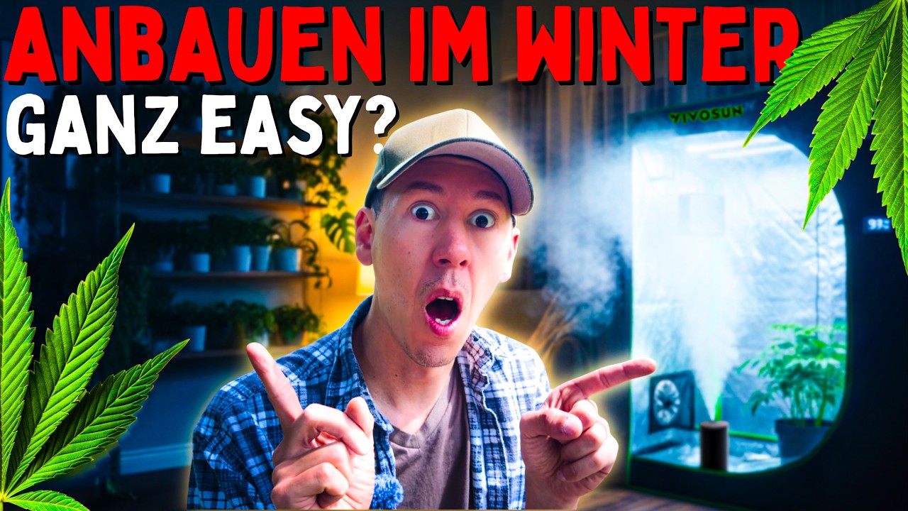 BILLIG & GEIL 🤫 Meine Growbox Empfehlung f&uuml;r Anf&auml;nger und Fortgeschrittene!