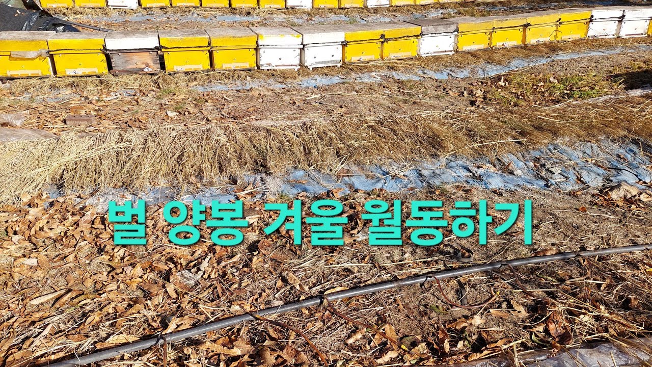 2025년 12월 30일