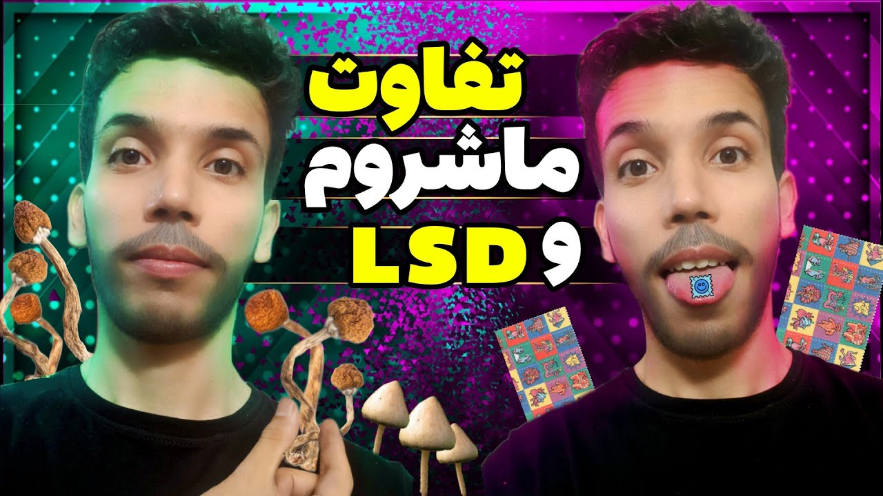 تفاوت تریپ مجیک ماشروم و ال اس دی در دوز های مختلف🍄🪐