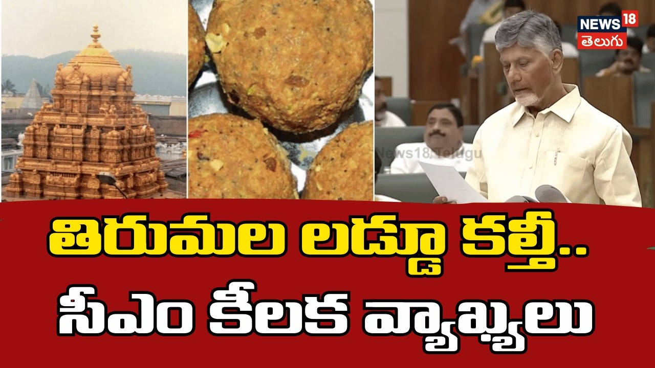 CM Chandrababu on Tirumala Laddu Row | తిరుమల లడ్డూ కల్తీ.. సీఎం చంద్రబాబు కీలక వ్యాఖ్యలు | n18