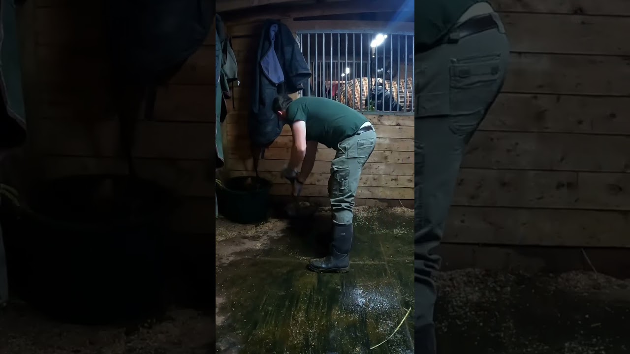 Manure Meltdown: The Unsettling Sound of Spring Thaw 