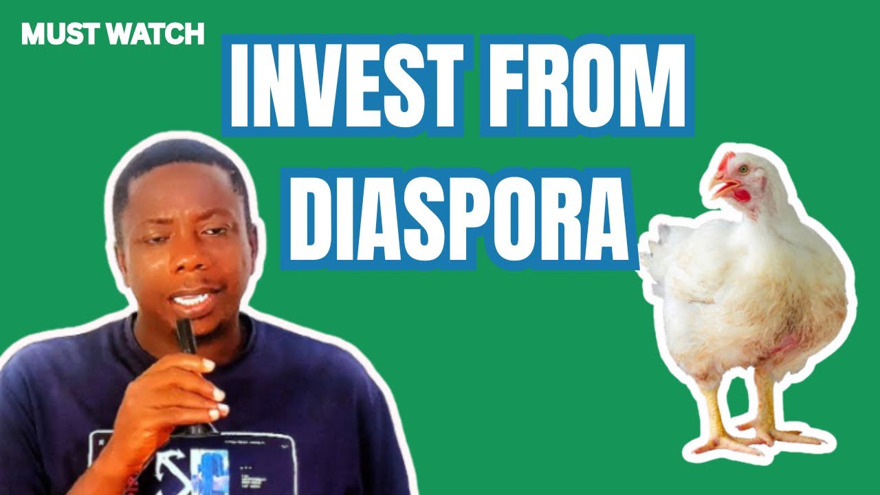 How to invest from diaspora broiler chicken farming profits,profit from chicken farm, #chicken