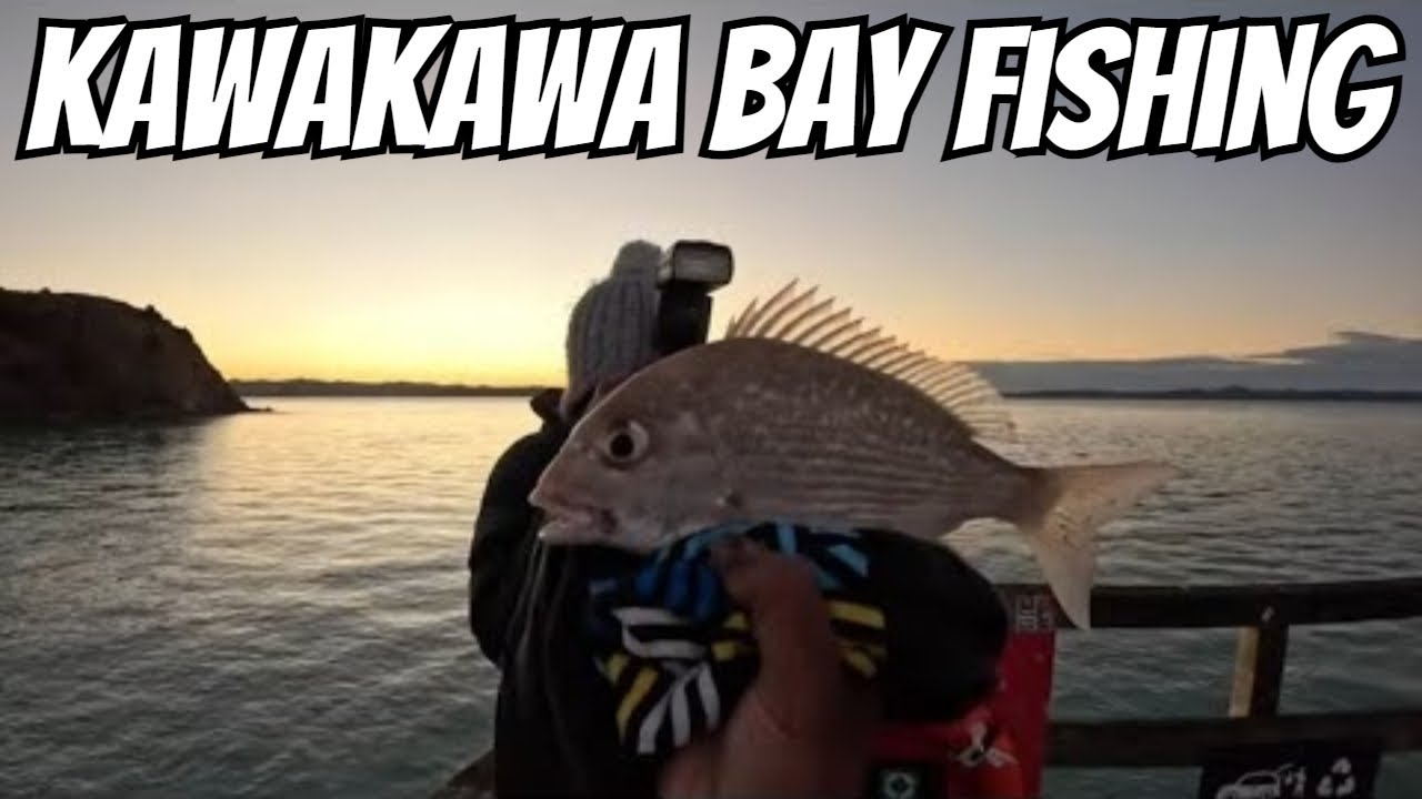 Wharf Fishing Experience Catching Snapper at Kawakawa Bay! - Waitawa Regional Park
