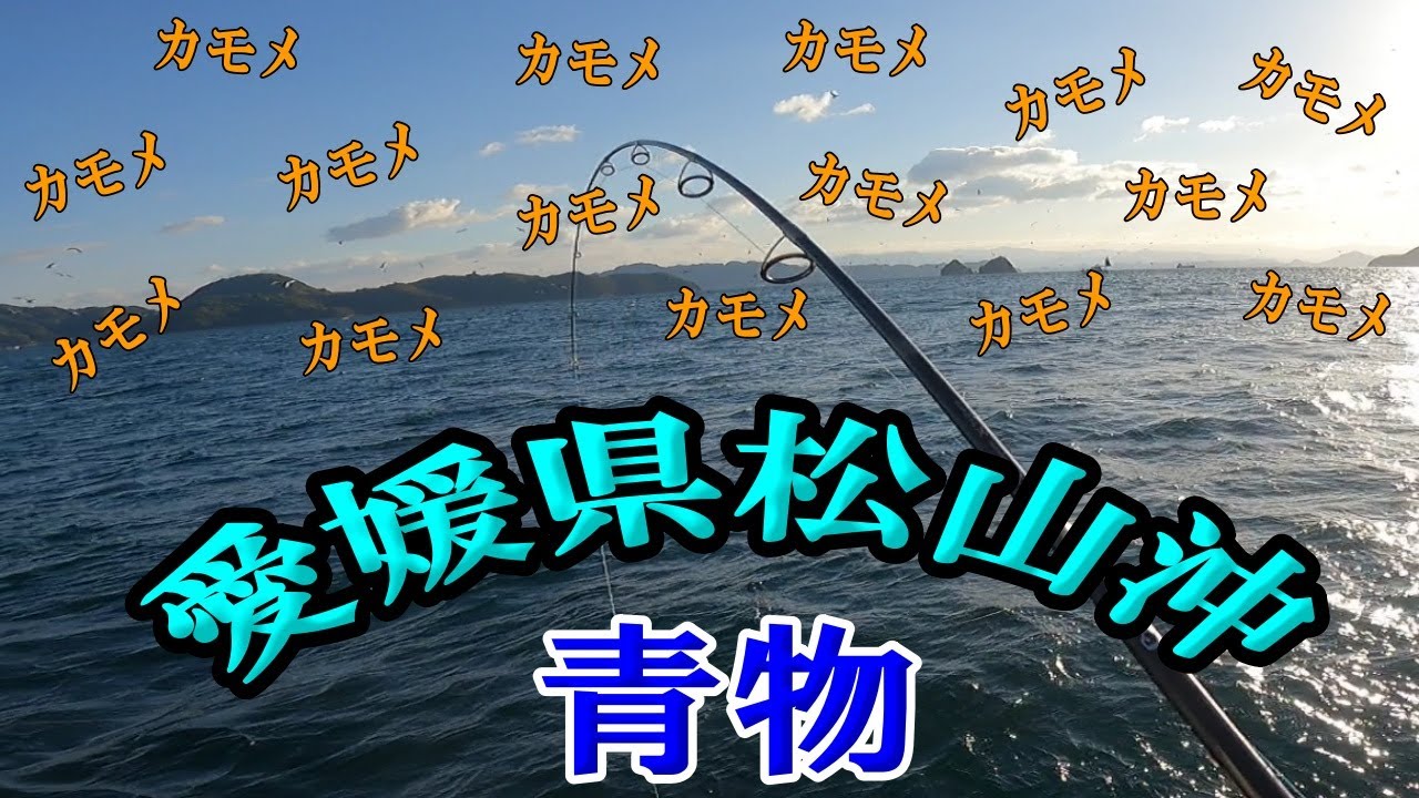カモメだらけの青物ライトジギング