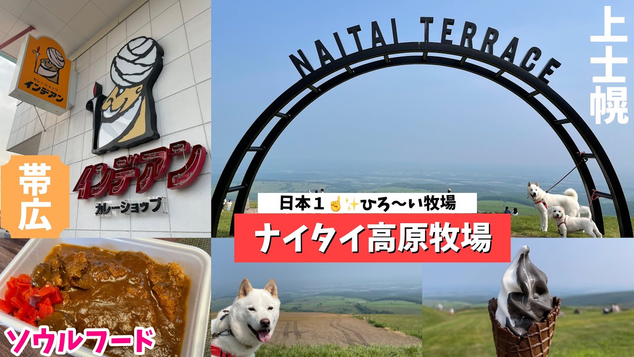 【日本一広い牧場！】ナイタイ高原牧場・ナイタイテラス⭐︎インデアンカレー【北海道・上士幌・十勝・帯広】